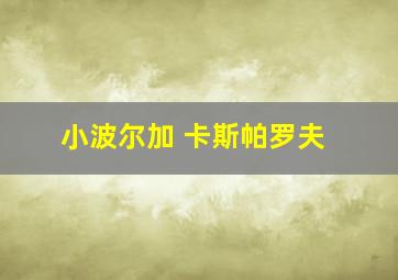 小波尔加 卡斯帕罗夫